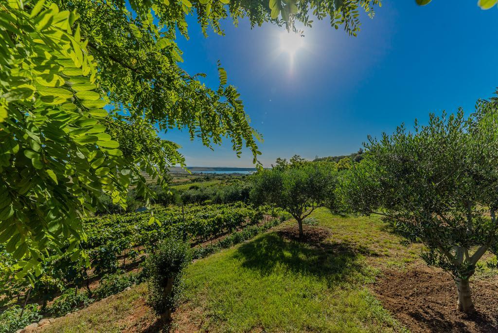 Apartment Robinson Podvrsje Dış mekan fotoğraf