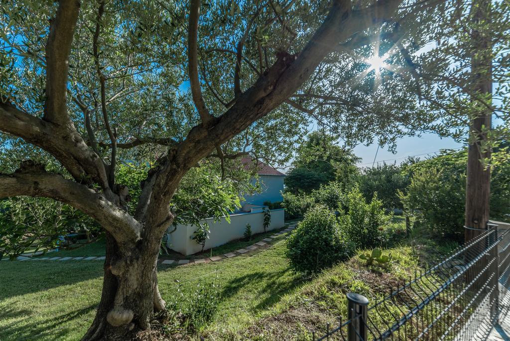 Apartment Robinson Podvrsje Dış mekan fotoğraf