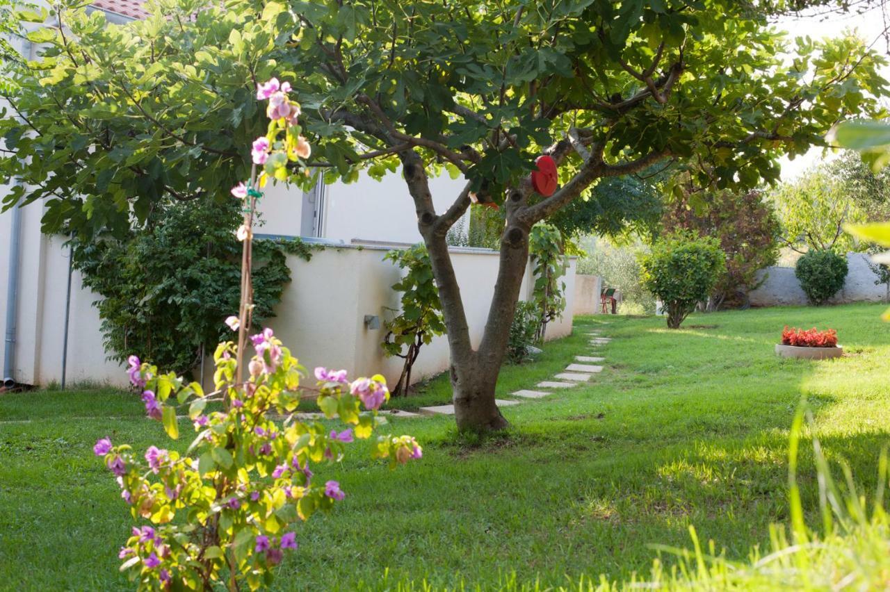 Apartment Robinson Podvrsje Dış mekan fotoğraf