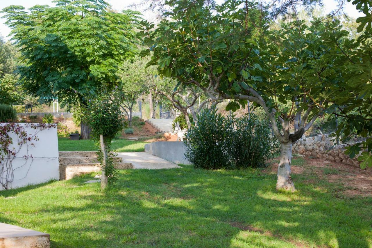 Apartment Robinson Podvrsje Dış mekan fotoğraf