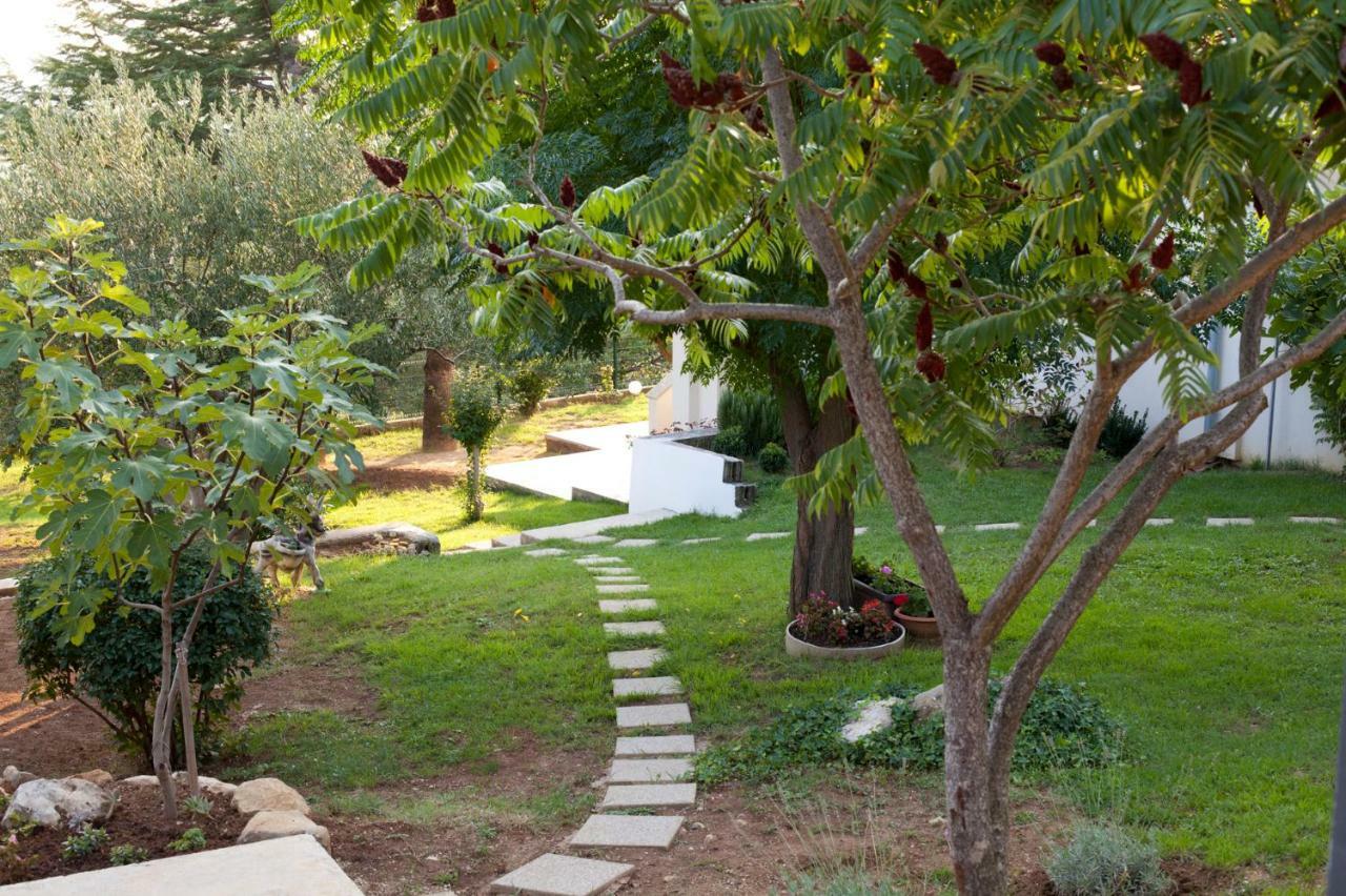 Apartment Robinson Podvrsje Dış mekan fotoğraf