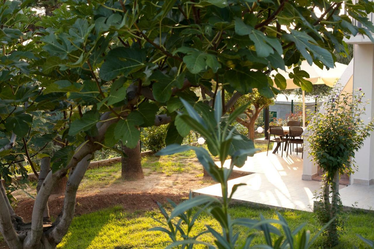 Apartment Robinson Podvrsje Dış mekan fotoğraf