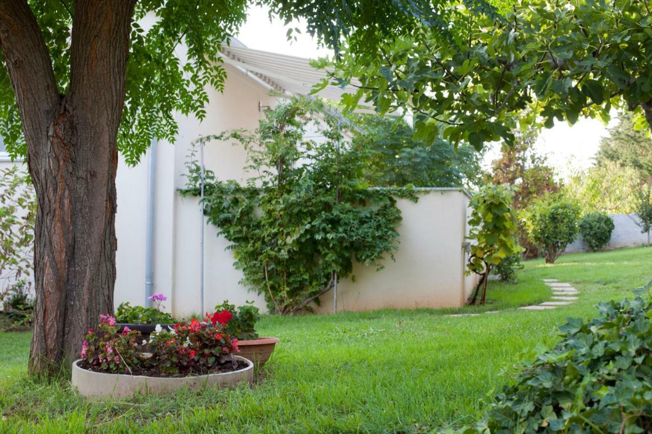 Apartment Robinson Podvrsje Dış mekan fotoğraf