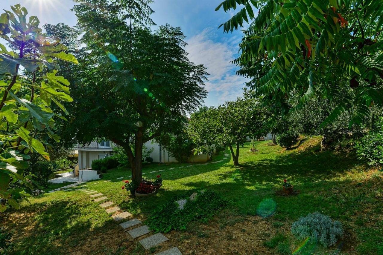 Apartment Robinson Podvrsje Dış mekan fotoğraf